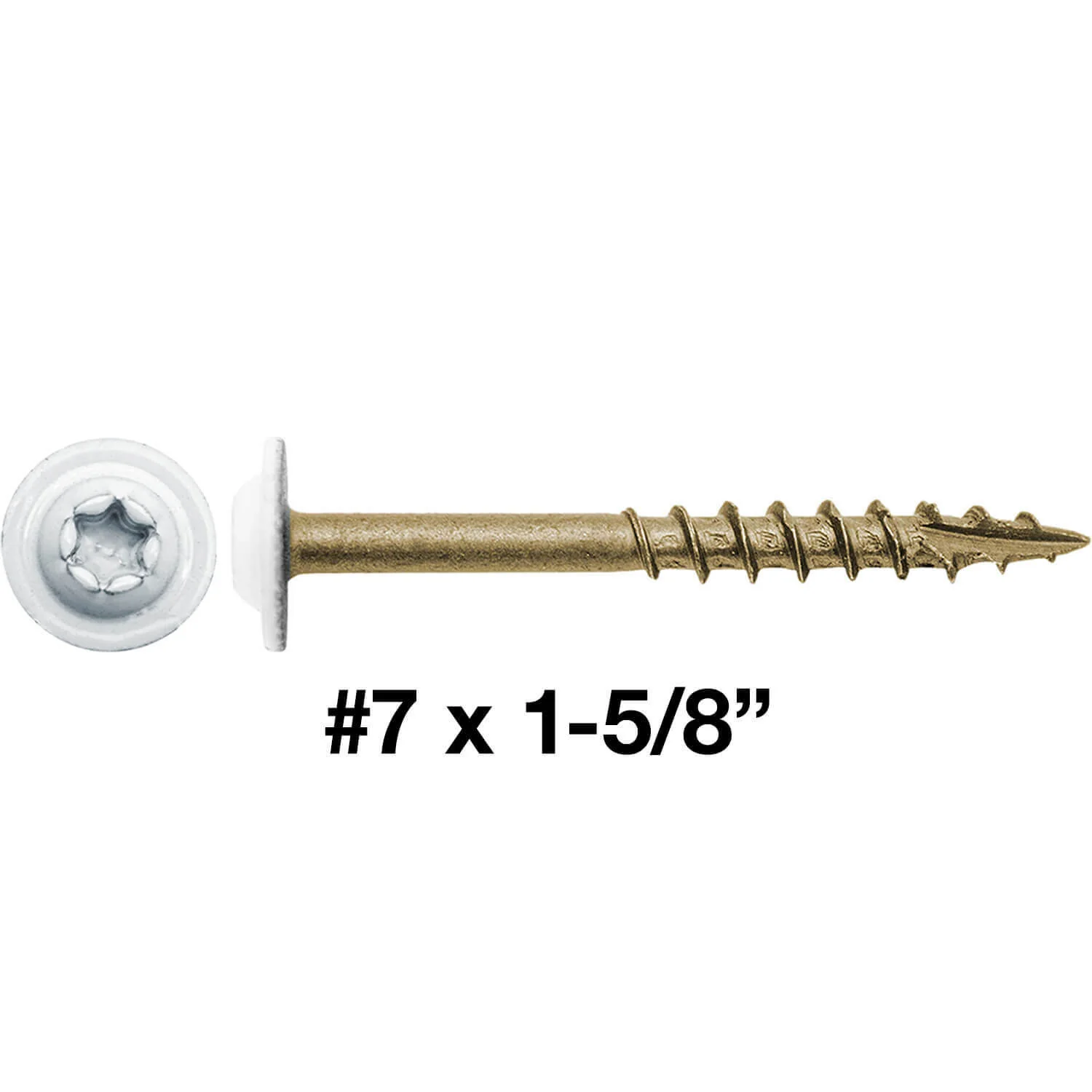 #7 x 1-5/8" White Head Round Head Torx/Star Drive Screw - Truss Head - Cabinet Wood Screw Torx/Star Drive Head - Exterior Coated Torx/Star Drive Wood Screws ~3,000 Screws(OVERSTOCK) - Image 3