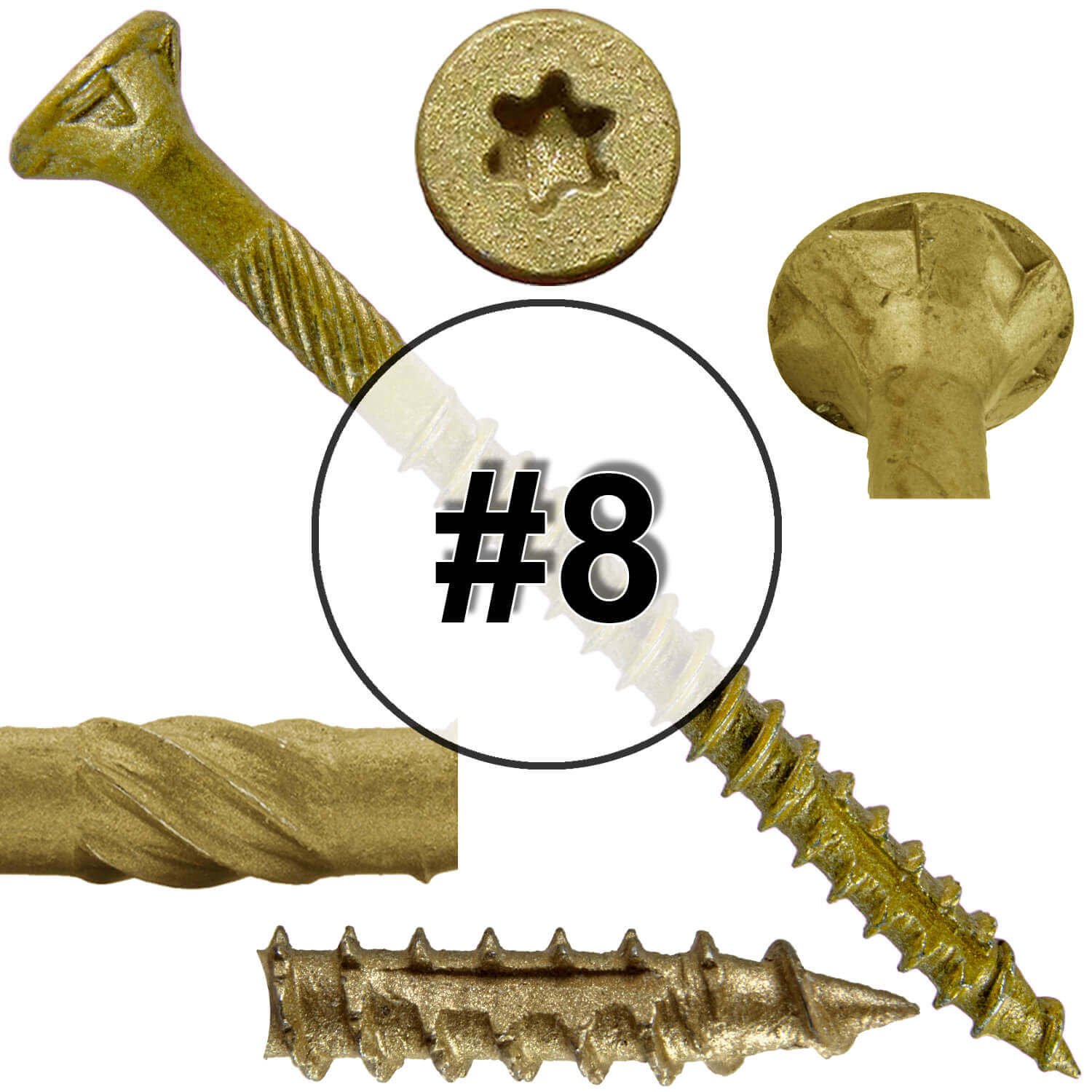 #8 x 3/4" - 2" Bronze Exterior Coated Wood Screw Torx/Star Drive Head - Multipurpose Exterior Coated Torx/Star Drive Wood Screws - Image 107