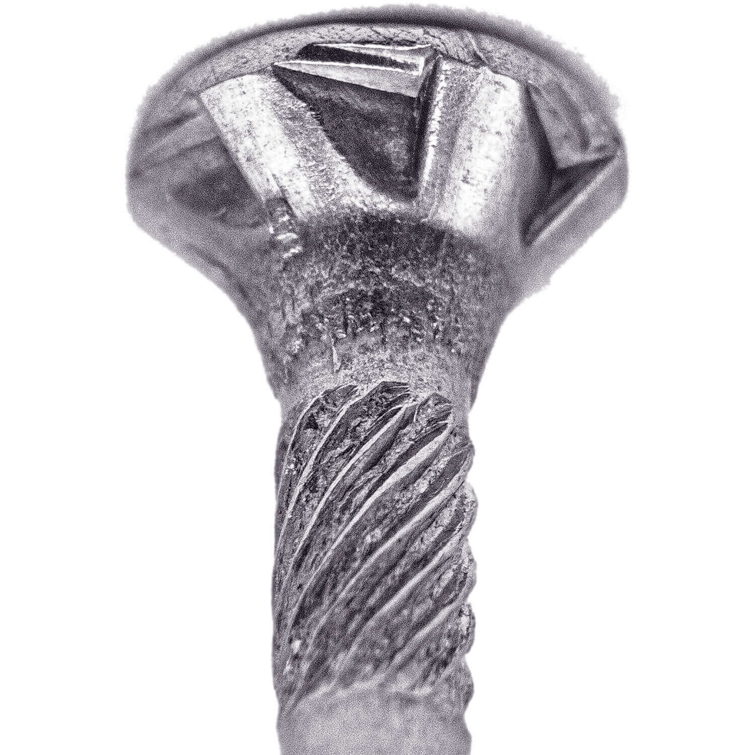 #8 Torx/Star Drive Head - 300 Grade Stainless Steel Torx/Star Drive Wood Screws - Silver Star Stainless Steel Wood Screw - Image 30