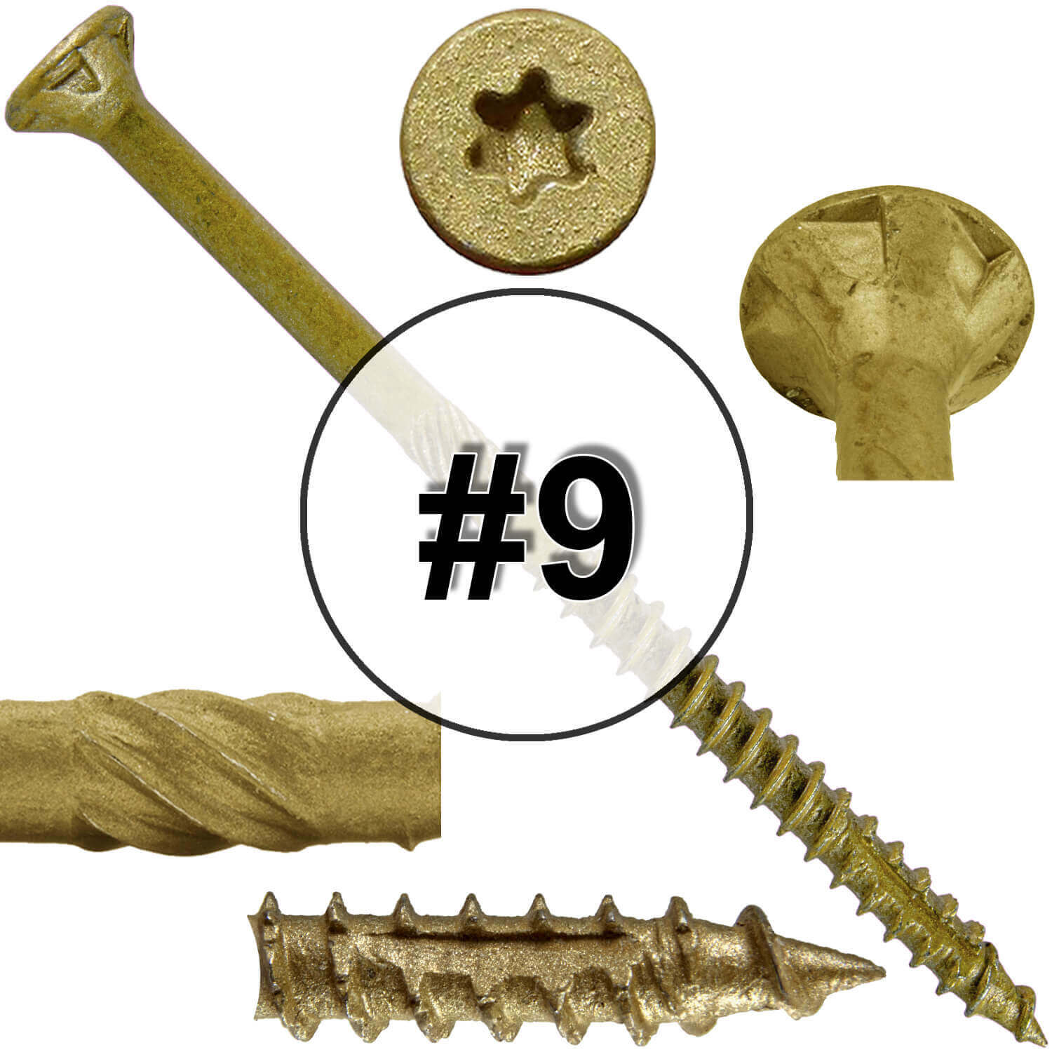 #9 x 1-1/2" - 3-1/8" Bronze Exterior Coated Wood Screw Torx/Star Drive Head - Multipurpose Exterior Coated Torx/Star Drive Wood Screws - Image 54