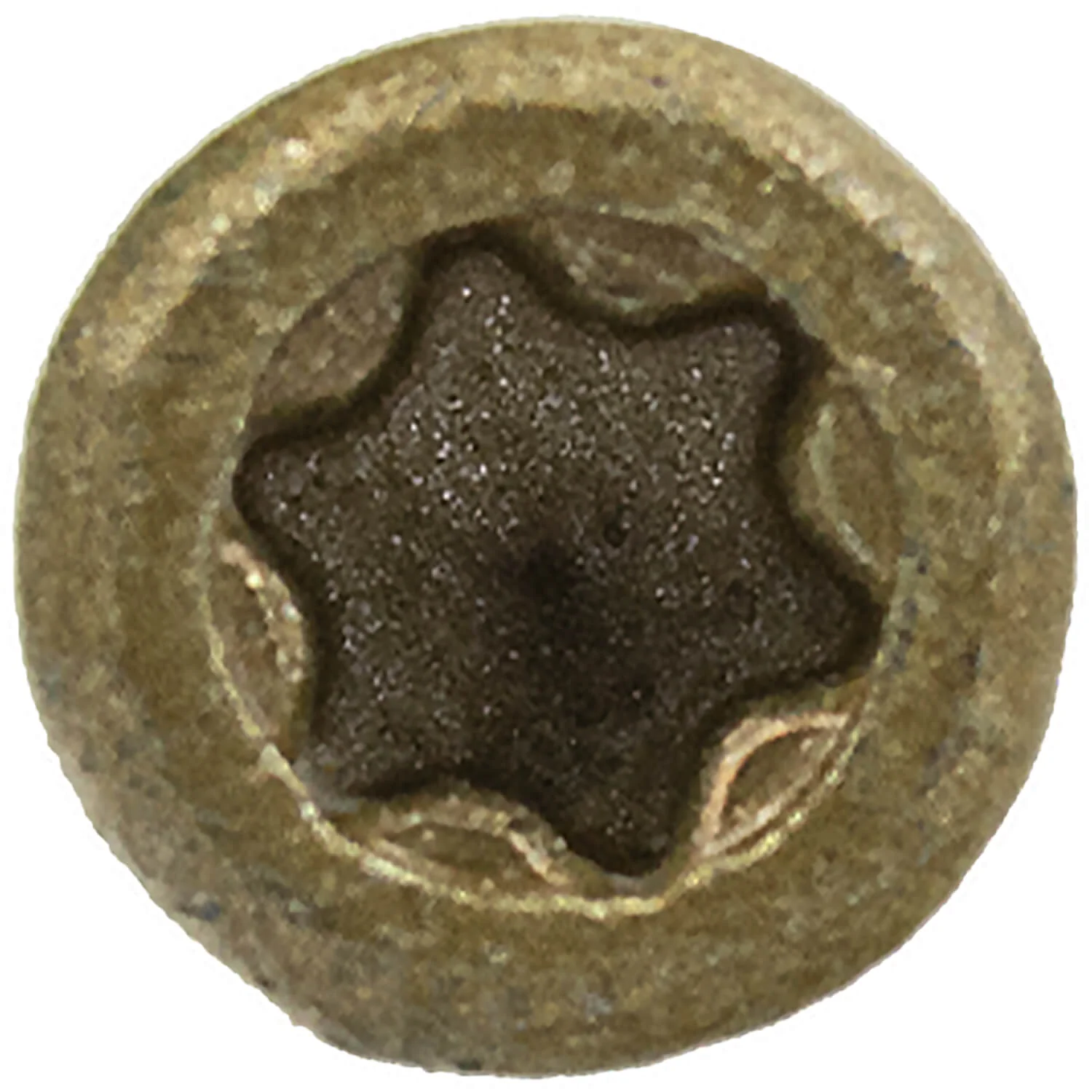 #9 Bronze Star Trim Head Wood Screw Torx/Star Drive Head - Multipurpose Exterior Coated Torx/Star Drive Wood Screws - Image 4