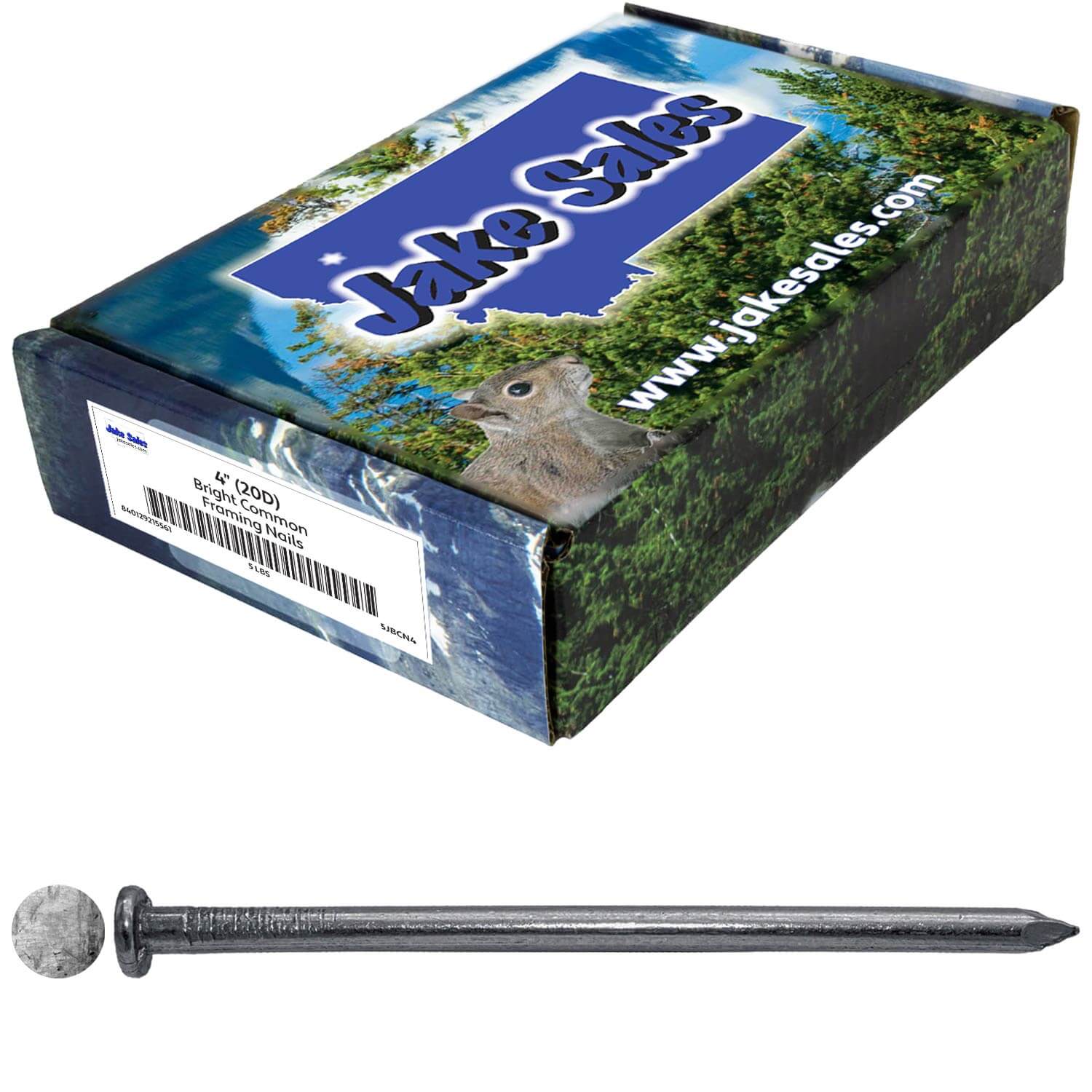 Bright Common Framing Nails - Heavy-Duty Fastener Designed for Interior Construction Applications - Uncoated Carbon Steel with Smooth Shank - Load Bearing Strength - Image 13