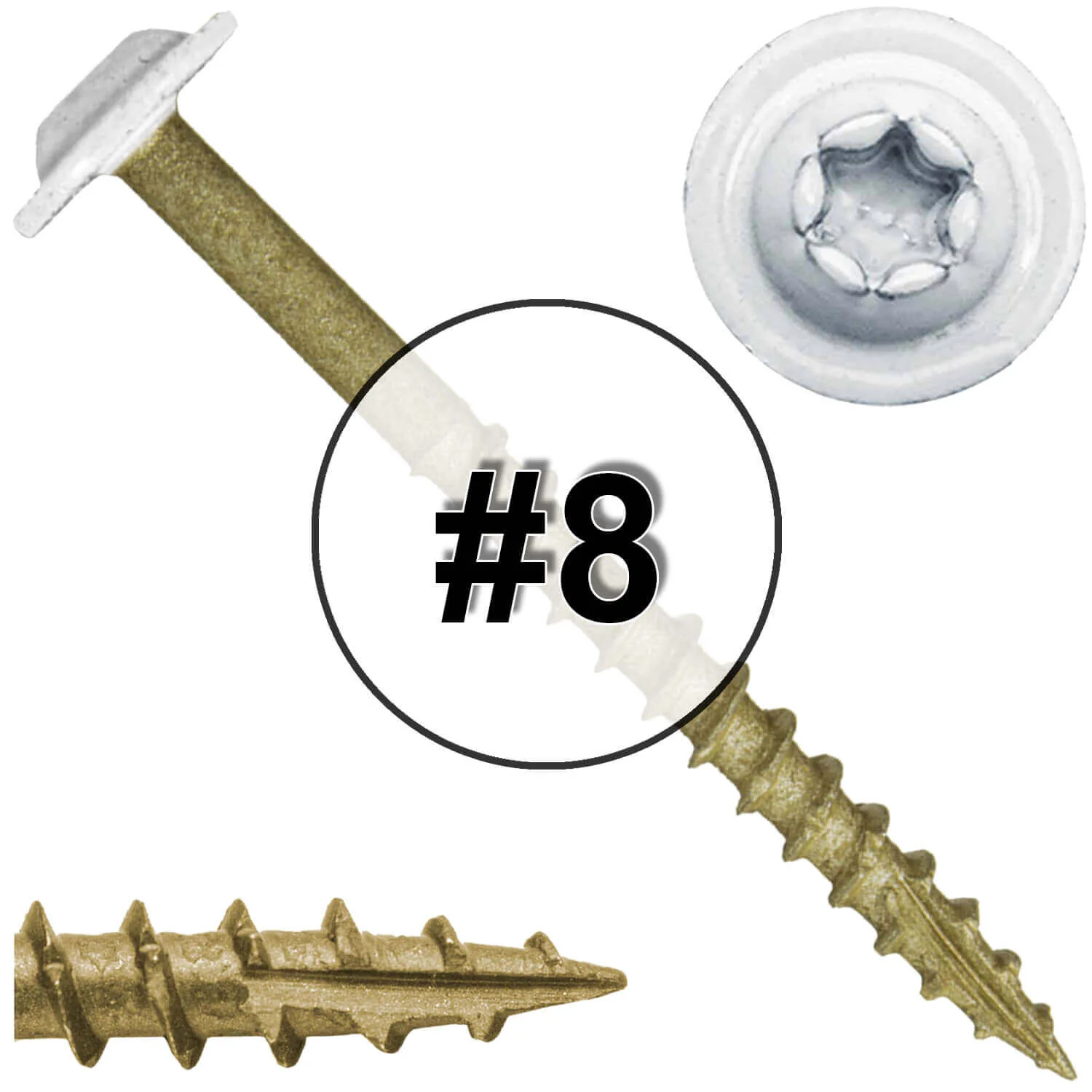 Bronze Star Exterior WHITE Coated Round Head - Cabinet Wood Screw with Torx/Star Drive Head. Multipurpose Exterior/Interior Coated Torx/Star Drive Wood Screws - Image 29