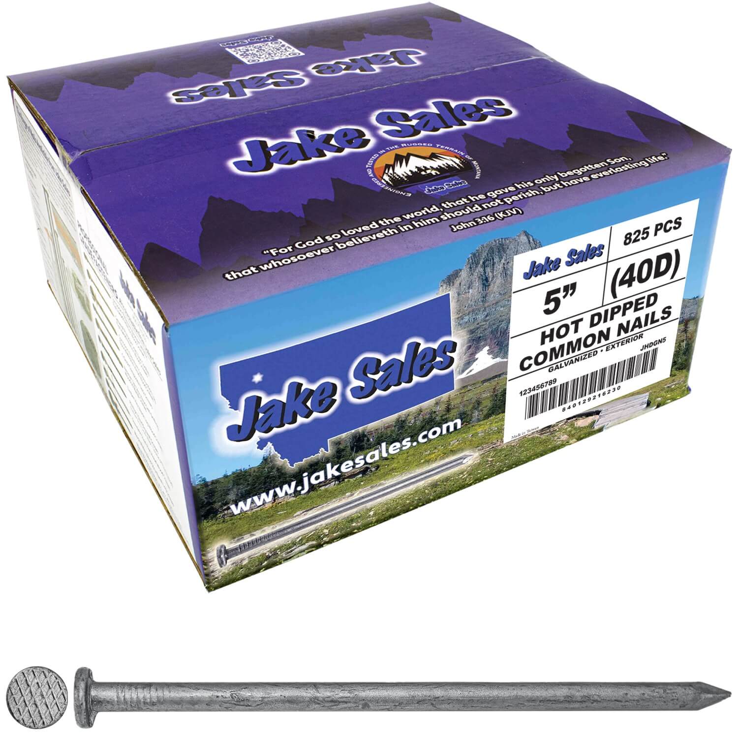 Exterior Hot Dipped Galvanized Common Framing Nail for General Construction, Framing - Image 11